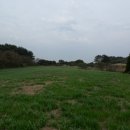 오토클럽 이미지