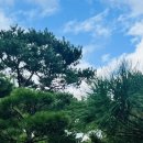 심곡로+심곡로37번길 이미지