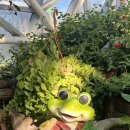 스마일정형외과의원 | 9월 25일 개안 여행_스마일라식 후기