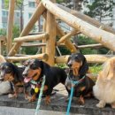 개러리아 이미지