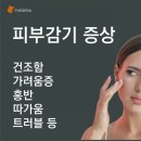 다이야 이미지