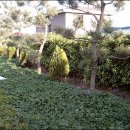 서산초등학교 이미지