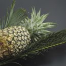 마레삐노펜션 이미지