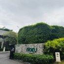 H.K GYM | [푸켓] 찰롱사원 올드타운 근처 풀빌라 추천 노쿠푸켓 (Noku Phuket) 트리빌라 룸컨디션 개인풀 크기