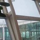 토론토 | 에어캐나다 토론토인 후기 솔직 리뷰 아시아나연계 | 피어슨공항 입국심사 영어회화