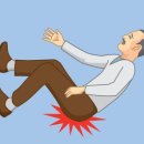 와이필라앤피티 이미지