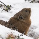 JJ PT Studio 이미지