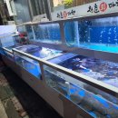 청춘회마차