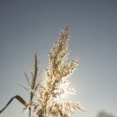 창동자전거도로 이미지