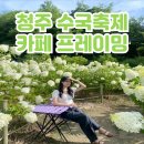 청주 카페 프레이밍 유럽수국축제 축제기간 방문 후기