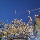 수정한의원 이미지