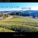 소림다원 이미지