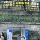 내가도서관 | [서울야외도서관/책읽는맑은내가] 청계천 도서관 책읽는 맑은냇가 후기