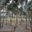 늘푸른 캠핑장 이미지