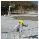 대성젓갈 이미지