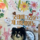 영애피아노