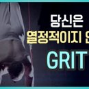 그릿(Grit) 이미지