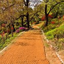 옥천 공설테니스장 이미지