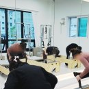 림필라테스&번지 | 재활, 체형교정, 다이어트까지 한 번에 가능한 오남필라테스 끌림필라테스 3회차 솔직후기