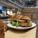 테라브런치 이미지