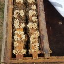 응애농원 이미지