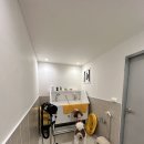 스테이다독 이미지