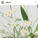 어썸어스 스튜디오 | 3. 스튜디오 예약 완료 - 라이크어스 / 어썸 메이크업 / 플로무아 / 모드니드레스 / 원영헬퍼님