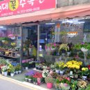 충주수족관 네이버블로그