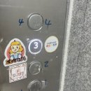 [인천퍼스널컬러/검단퍼스널컬러]인천 퍼스널 컬러 ‘파인드핏온’ 내돈내산 찐 후기