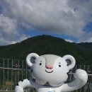 인제09 이미지