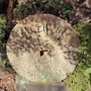 남양2천 이미지