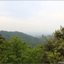 용현자연휴양림 이미지