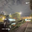 10월 말~ 11월 식전) 행복= 별거없음