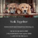 캠페인 | 호지 기부 Walk Together 캠페인 후기