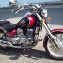 데이스타 이미지