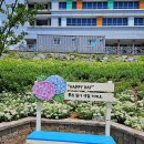(주)화순군민신문사 | 광주 근교 수국나들이 화순 남산공원 수국 개화 포토존 축제 주차장