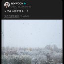 The first snow in Seoul? 이미지