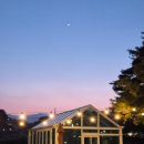 강릉애 진심 이미지