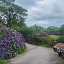 모퉁이집 이미지