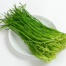 벌말체육공원 | 경기도 구리시의 특산물, 축제, 그리고 문화유산