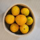 달1037 | 제주도 동부 여행 숙소 추천 : 달1037🌕