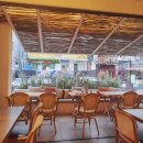 은행나무치과의원 이미지