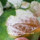 가빈농장 이미지