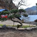 연**경(주) 이미지