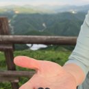 선자령한식당 | [백패킹🏕-2026 #12]민둥산 돌리네 연못 푸릇한 백패킹,민둥산 평일백패킹, 민둥산 최단코스 돌리네쉼터