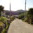 용문농장 이미지