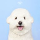 모멍트 이미지