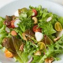 팜네이처스 이미지