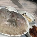 막썰어주는 횟집