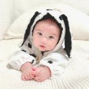 도트트리디자인 | 트리베어 아기옷 달마시안 도트 땡땡이 바디슈트 출산선물 추천 후기